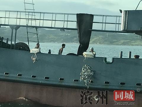 2000公斤的渔获全数被抛（图源：联合新闻网）