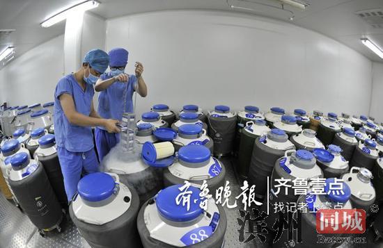 山东大学附属生殖医院的工作人员在冷冻胚胎库存放胚胎。医院供图